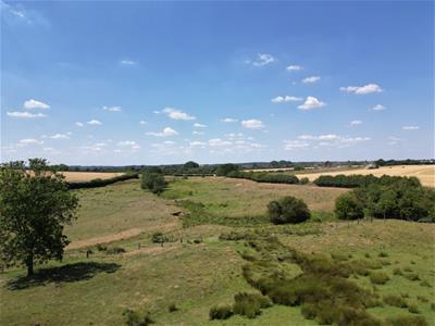 Picture 23